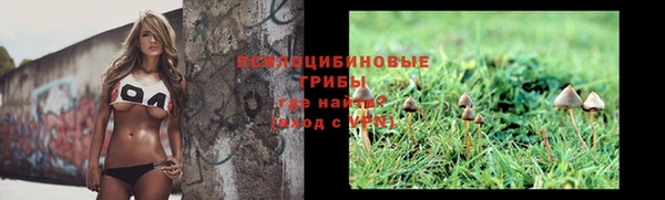 прущая мука Каменка