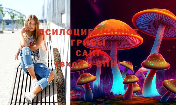 прущая мука Каменка