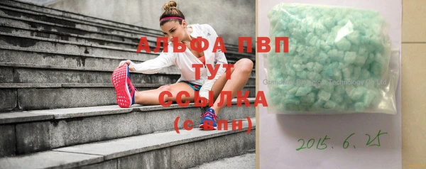 прущие грибы Касимов