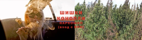 прущая мука Каменка