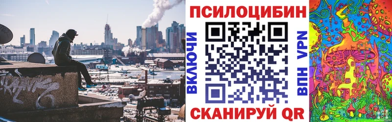 Галлюциногенные грибы мицелий  Купить  Лакинск 